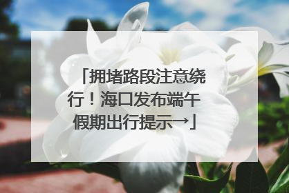 拥堵路段注意绕行！海口发布端午假期出行提示→