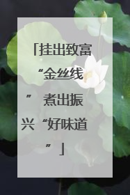 挂出致富 “金丝线” 煮出振兴“好味道”