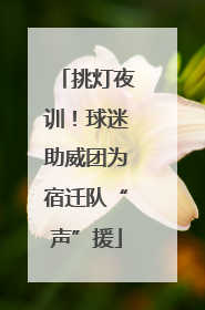 挑灯夜训！球迷助威团为宿迁队“声”援