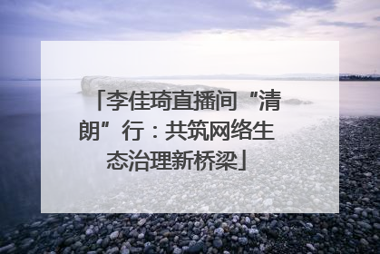 李佳琦直播间“清朗”行：共筑网络生态治理新桥梁