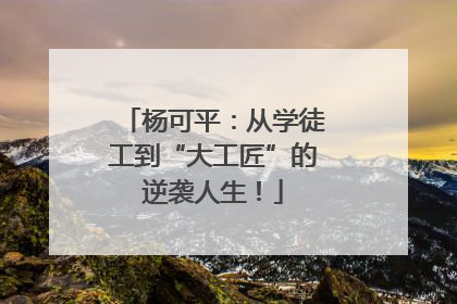 杨可平：从学徒工到“大工匠”的逆袭人生！