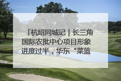 杭绍同城记｜长三角国际农批中心项目形象进度过半，华东“菜篮子”建设加码提速！
