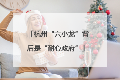 杭州“六小龙”背后是“耐心政府”