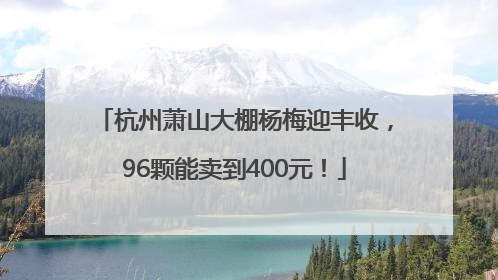 杭州萧山大棚杨梅迎丰收，96颗能卖到400元！
