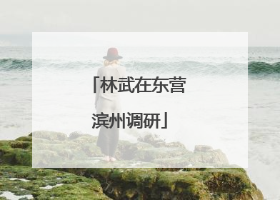 林武在东营滨州调研
