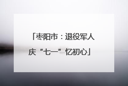 枣阳市：退役军人庆“七一”忆初心