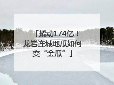 撬动174亿！龙岩连城地瓜如何变“金瓜”