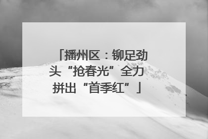 播州区：铆足劲头“抢春光”全力拼出“首季红”