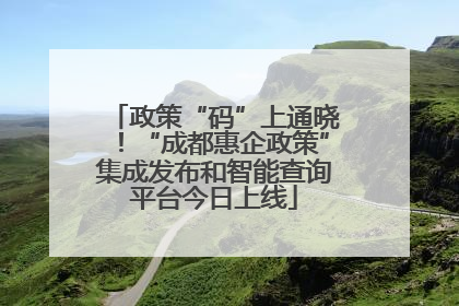 政策“码”上通晓！“成都惠企政策”集成发布和智能查询平台今日上线