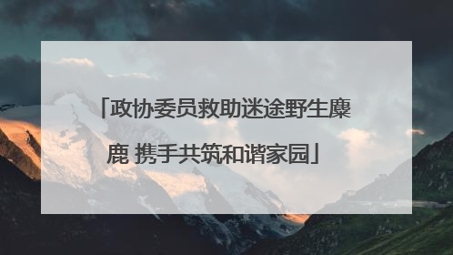 政协委员救助迷途野生麋鹿 携手共筑和谐家园