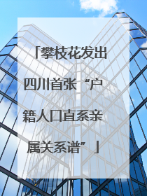 攀枝花发出四川首张“户籍人口直系亲属关系谱”