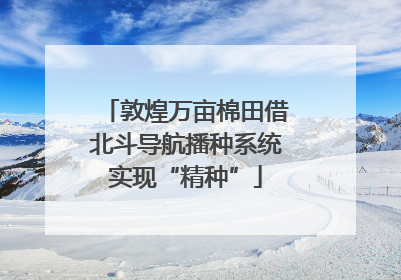 敦煌万亩棉田借北斗导航播种系统实现“精种”