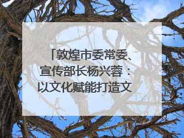 敦煌市委常委、宣传部长杨兴蓉：以文化赋能打造文旅增效新引擎｜第七届全国县域旅游研究成果发布系列活动