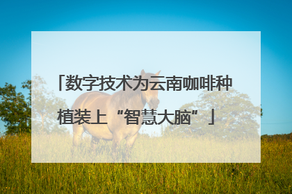 数字技术为云南咖啡种植装上“智慧大脑”