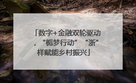 数字+金融双轮驱动，“栀梦行动”“浙”样赋能乡村振兴