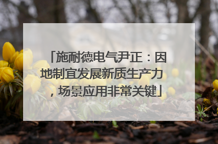 施耐德电气尹正：因地制宜发展新质生产力，场景应用非常关键