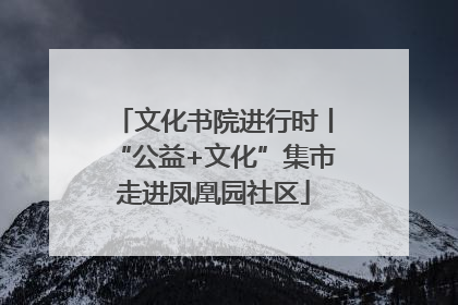 文化书院进行时丨“公益+文化”集市走进凤凰园社区