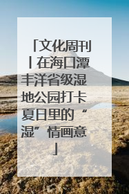 文化周刊丨在海口潭丰洋省级湿地公园打卡夏日里的“湿”情画意