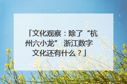 文化观察：除了“杭州六小龙” 浙江数字文化还有什么？