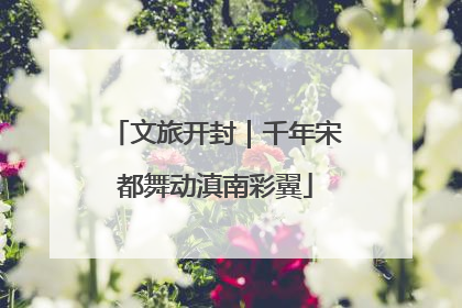 文旅开封｜千年宋都舞动滇南彩翼