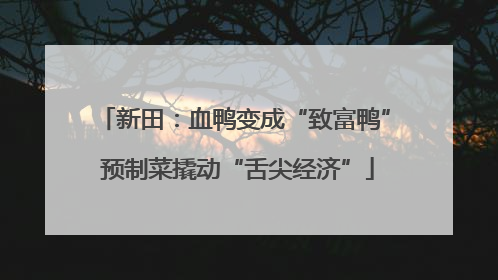 新田：血鸭变成“致富鸭” 预制菜撬动“舌尖经济”