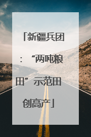 新疆兵团：“两吨粮田”示范田创高产