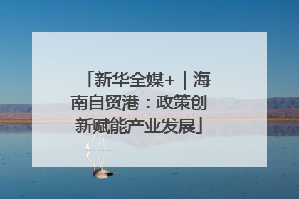 新华全媒+｜海南自贸港：政策创新赋能产业发展