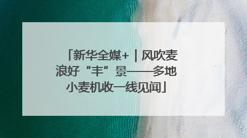 新华全媒+｜风吹麦浪好“丰”景——多地小麦机收一线见闻