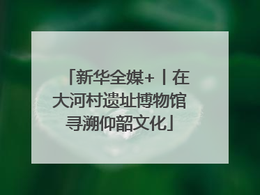 新华全媒+丨在大河村遗址博物馆寻溯仰韶文化