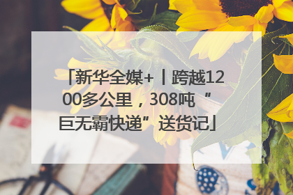 新华全媒+丨跨越1200多公里，308吨“巨无霸快递”送货记