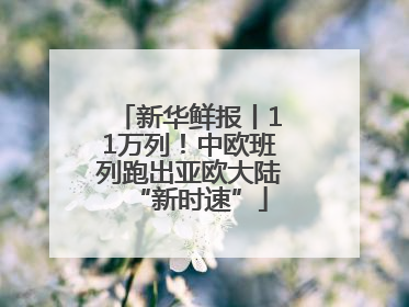新华鲜报丨11万列！中欧班列跑出亚欧大陆“新时速”
