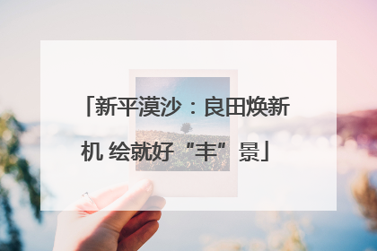 新平漠沙：良田焕新机 绘就好“丰”景