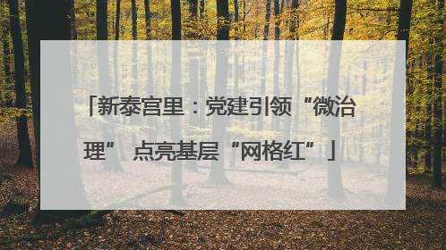 新泰宫里：党建引领“微治理” 点亮基层“网格红”