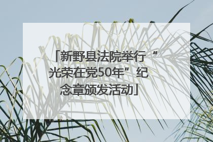 新野县法院举行“光荣在党50年”纪念章颁发活动