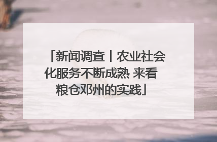 新闻调查丨农业社会化服务不断成熟 来看粮仓邓州的实践
