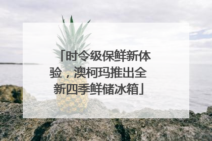 时令级保鲜新体验，澳柯玛推出全新四季鲜储冰箱