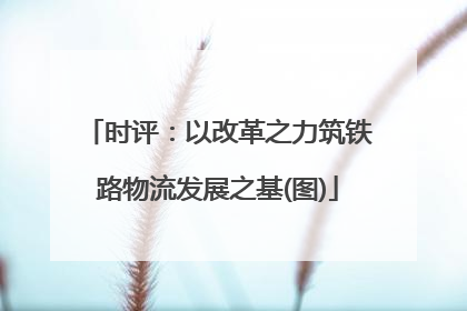 时评：以改革之力筑铁路物流发展之基(图)
