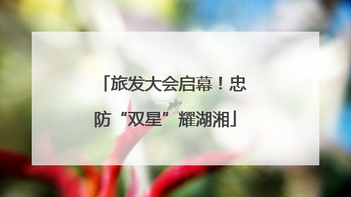 旅发大会启幕！忠防“双星”耀湖湘