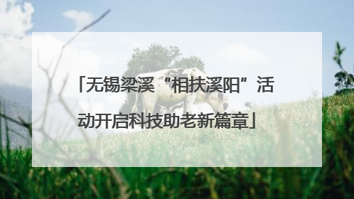 无锡梁溪“相扶溪阳”活动开启科技助老新篇章
