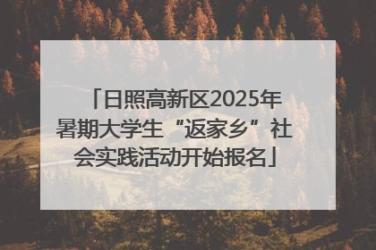 日照高新区2025年暑期大学生“返家乡”社会实践活动开始报名