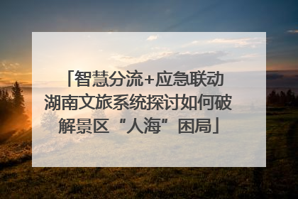 智慧分流+应急联动 湖南文旅系统探讨如何破解景区“人海”困局