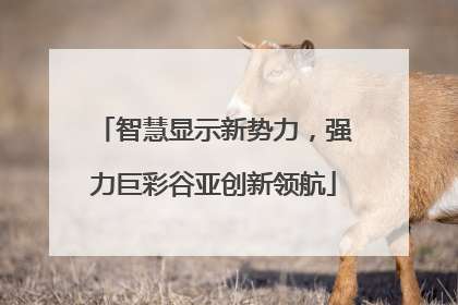 智慧显示新势力，强力巨彩谷亚创新领航