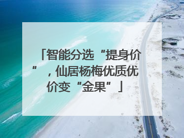 智能分选“提身价”，仙居杨梅优质优价变“金果”