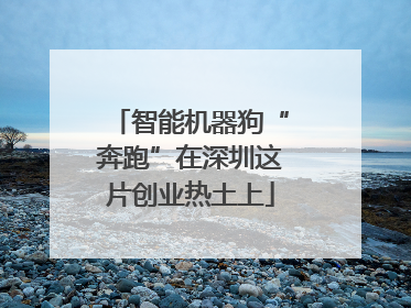 智能机器狗“奔跑”在深圳这片创业热土上