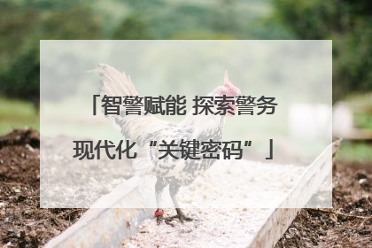 智警赋能 探索警务现代化“关键密码”