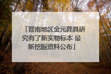晋南地区金元葬具研究有了新实物标本 最新挖掘资料公布