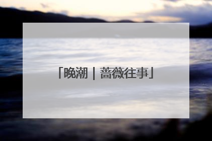 晚潮｜蔷薇往事