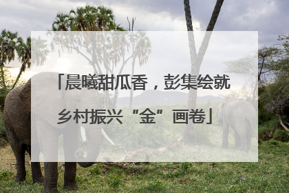 晨曦甜瓜香，彭集绘就乡村振兴“金”画卷