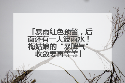 暴雨红色预警，后面还有一大波雨水！梅姑娘的“暴脾气”收敛要再等等