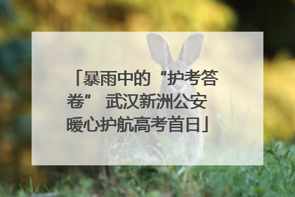 暴雨中的“护考答卷” 武汉新洲公安暖心护航高考首日